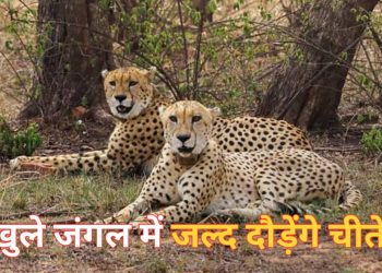 MP News