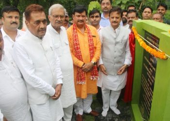 MP News