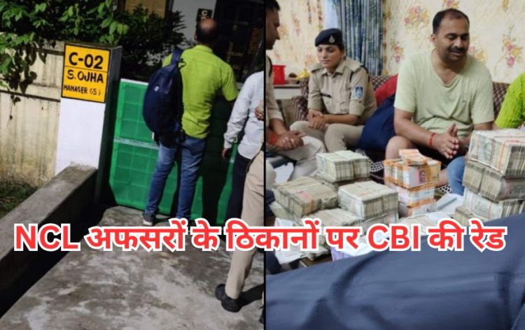 CBI Raid In NCL Employee