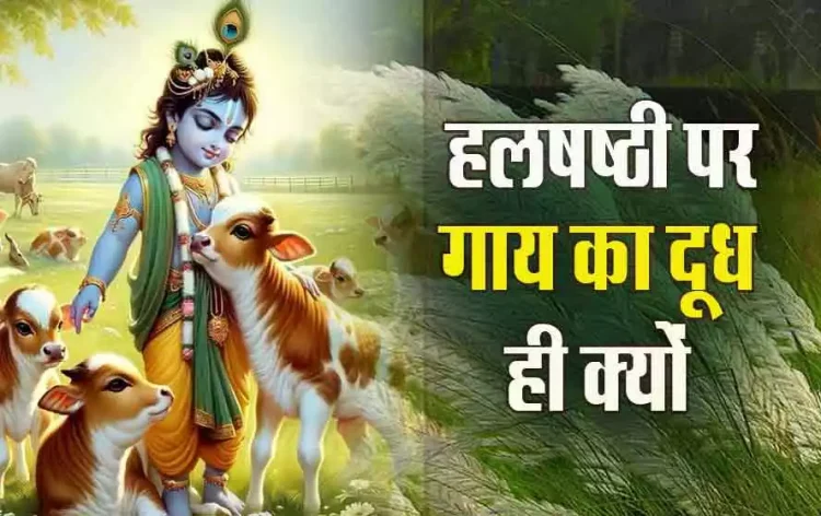 Halshashthi-Vrat-Katha