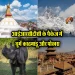 IRCTC Nepal Tour Package