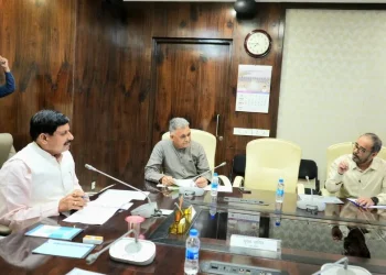 MP-News