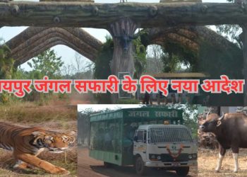 Raipur Jungale Safari Update