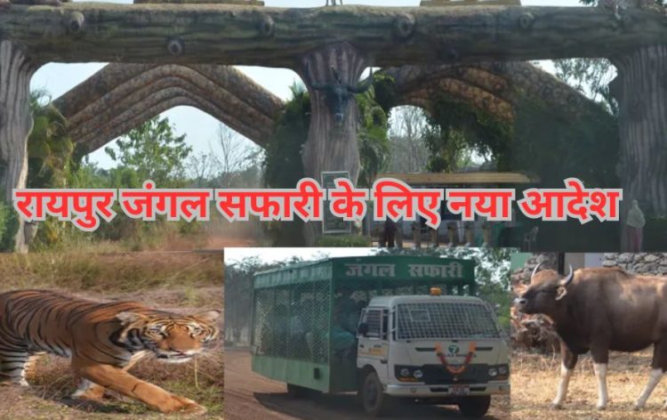 Raipur Jungale Safari Update