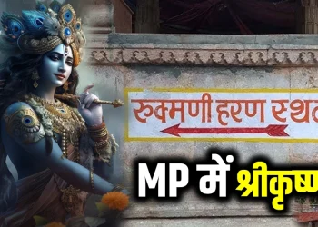 Shrikrishna MP Connection