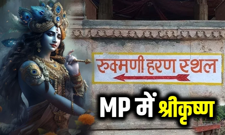 Shrikrishna MP Connection