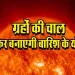 Surya-Nakshatra-Magha-2024