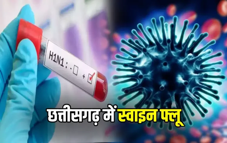 Swine Flu in CG