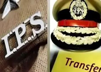 MP-IPS-Transfer