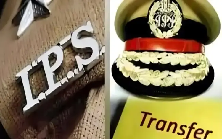 MP-IPS-Transfer