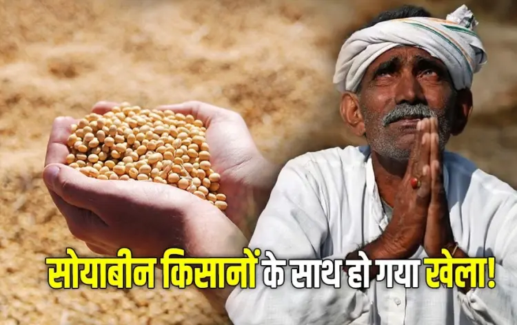 MP-Soybean-Procurement-1