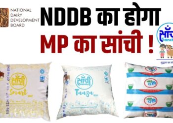 Now Sanchi of Madhya Pradesh will belong to National Dairy Development Board MP Dairy Federation