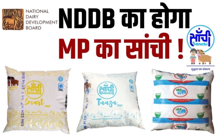 Now Sanchi of Madhya Pradesh will belong to National Dairy Development Board MP Dairy Federation