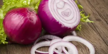 Onion in Constipation