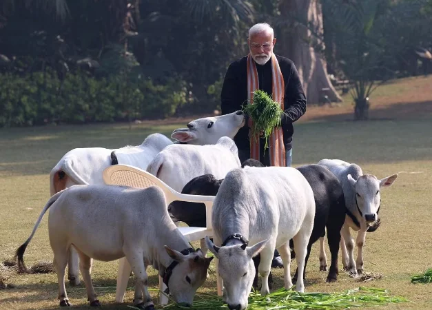 Punganur-Cow-PM-Modi 