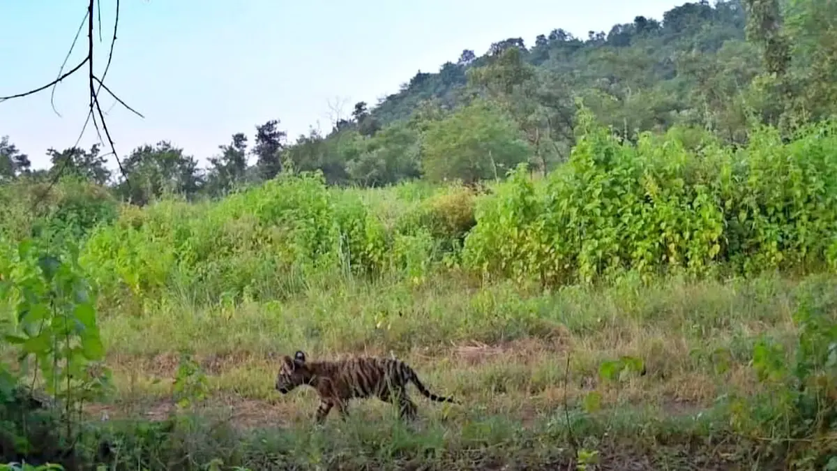 Shivpuri-Madhav-National-Park