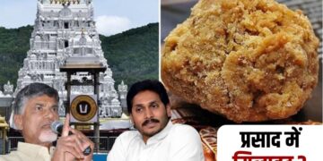 Tirupati Balaji Prasad Controversy