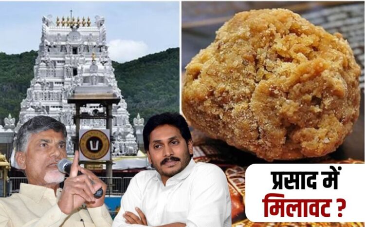 Tirupati Balaji Prasad Controversy