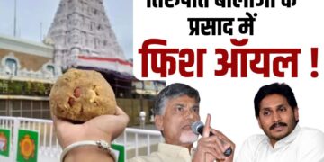 Tirupati Balaji Prasad Controversy adulteration of fish oil in Tirupati laddu Confirmation