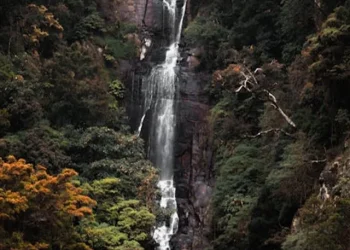 sri lanka 5