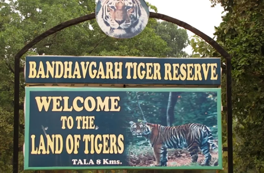 Bandhavgarh-National-Park