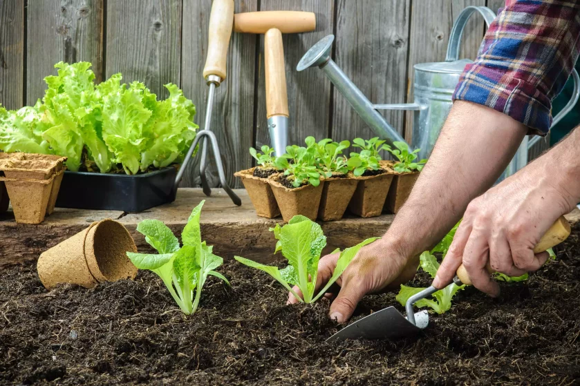 Business Idea Gardening