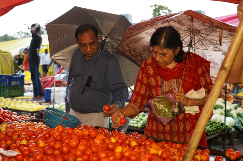 tomato price increase