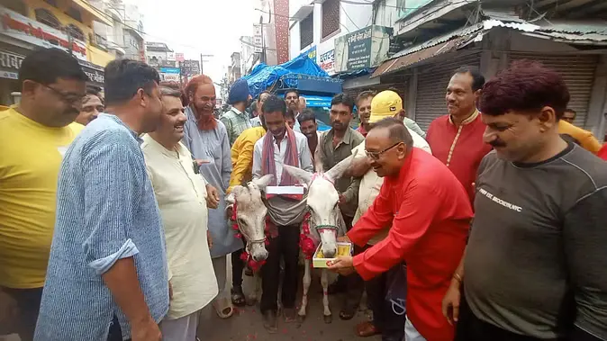 Donkeys-Marriage-in-Chhatarpur