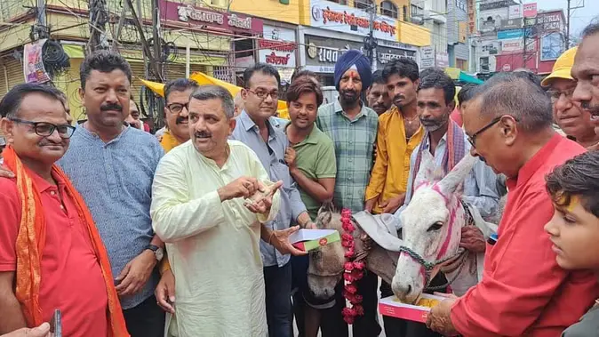 Donkeys-Marriage-in-Chhatarpur 