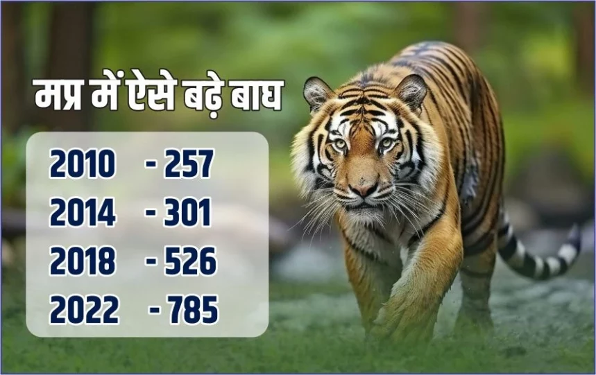 Internationa-Tiger-Day-2024-fact