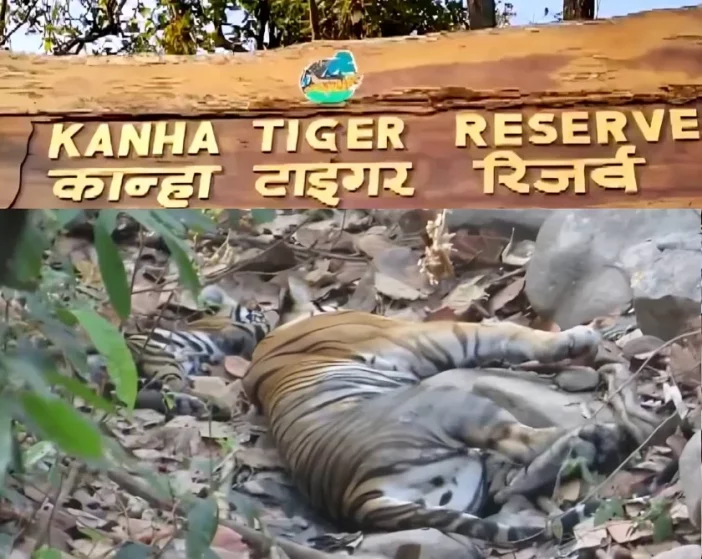 Kanha-National-Park