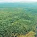 Sagar Banda-Shahgarh Wildlife Sanctuary
