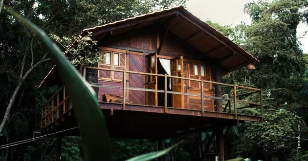Tree House Business Idea