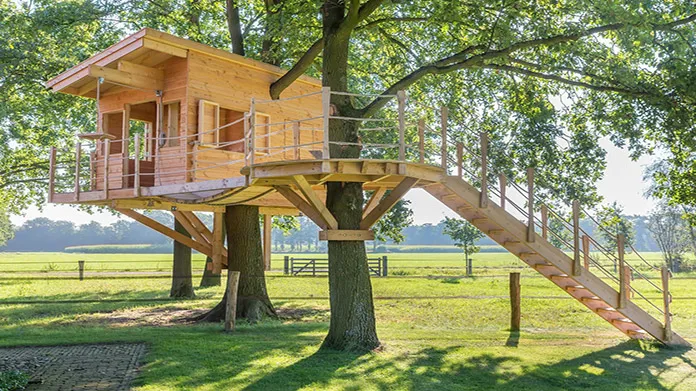 Tree House Business Idea