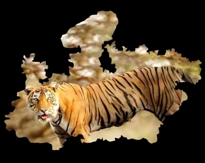 Tiger-Tourism-in-MP-01