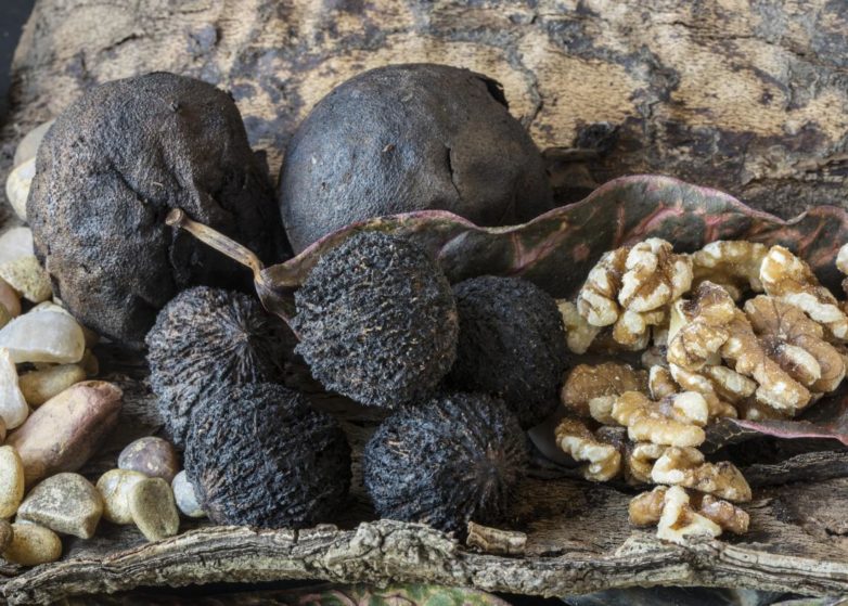 black-walnuts